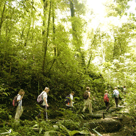 ¡Nunca olvide el cargador del celular!